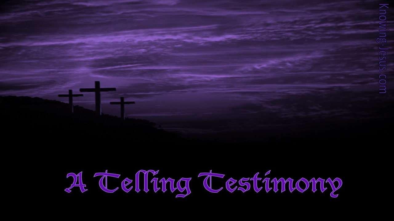 A Telling Testimony (devotional) (purple)